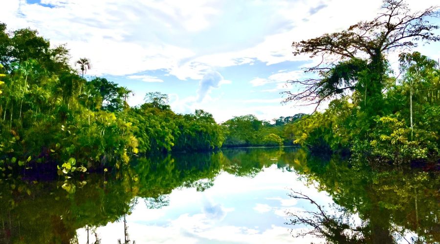 Yasuni National Park